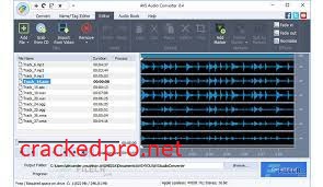 AVS Audio Converter 10.1.1.622 Crack With Activation Key with Free Download