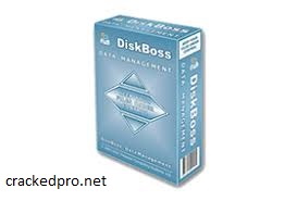 DiskBoss Enterprise  Crack  